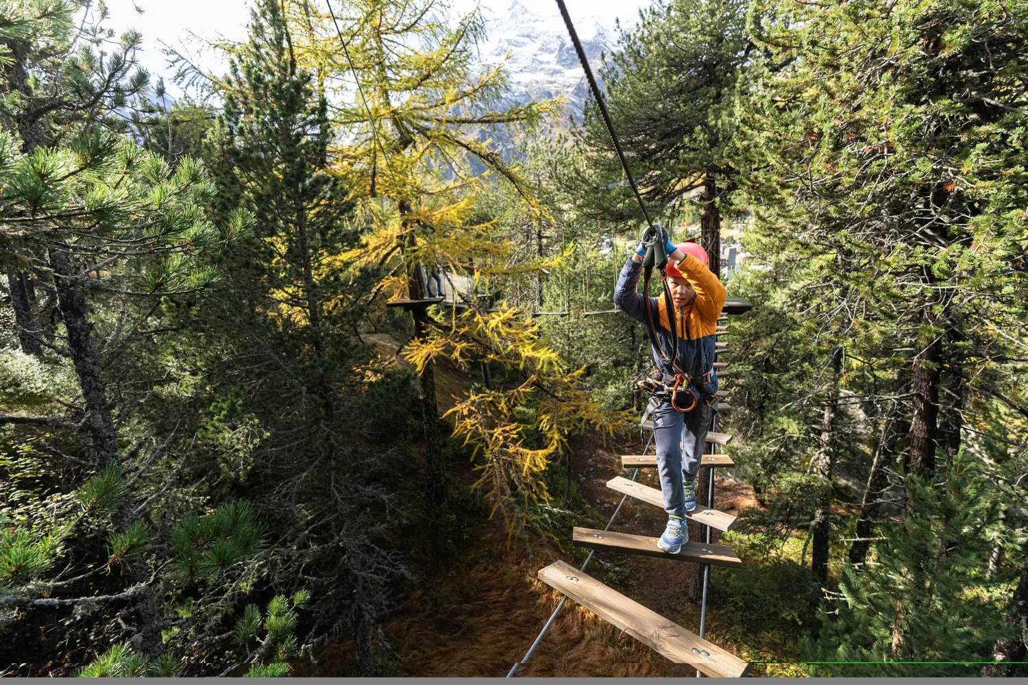Klettern im Abenteuerwald